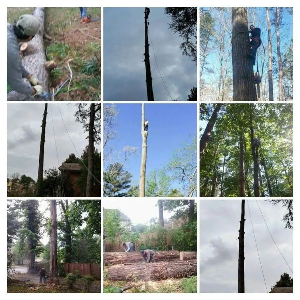 Top-rated outdoor landscaping for residential properties across Roswell, GA - Vista Landscaping Services