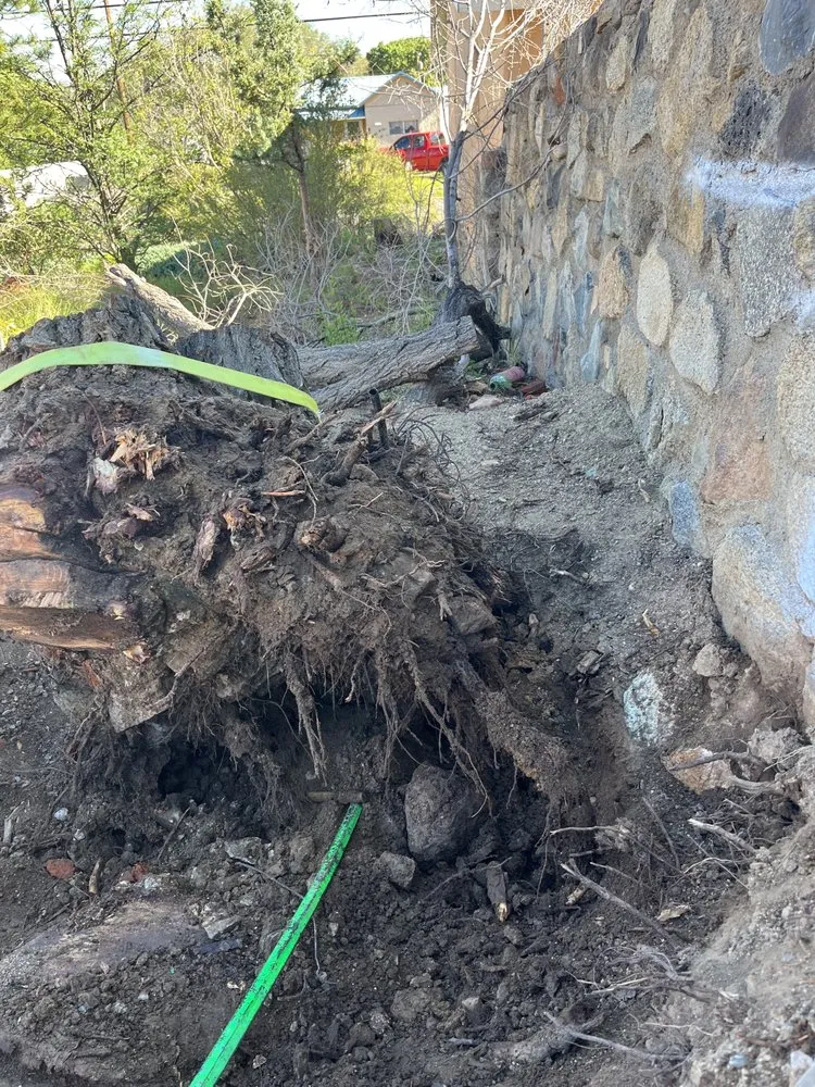 Local lawn care service with custom design across Silver City, NM - Vista landscaping