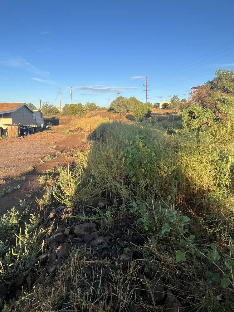 Reliable landscape design in Silver City, NM by Vista landscaping
