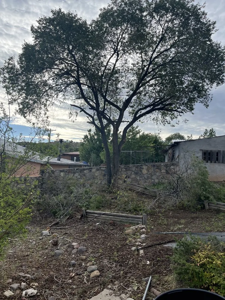 Affordable lawn care service in Silver City, NM - Vista landscaping