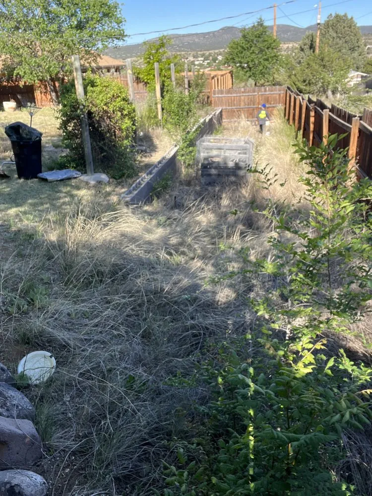 Trusted yard cleanup service for homes across Silver City, NM - Vista landscaping