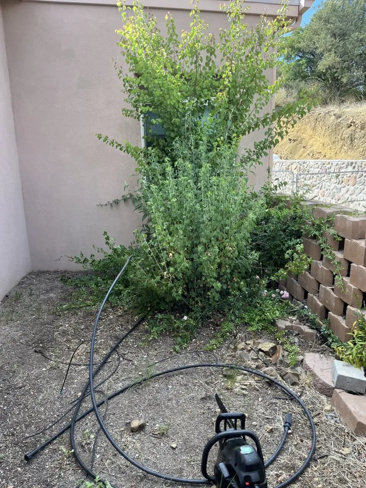 Custom landscape design in Silver City, NM - Vista landscaping