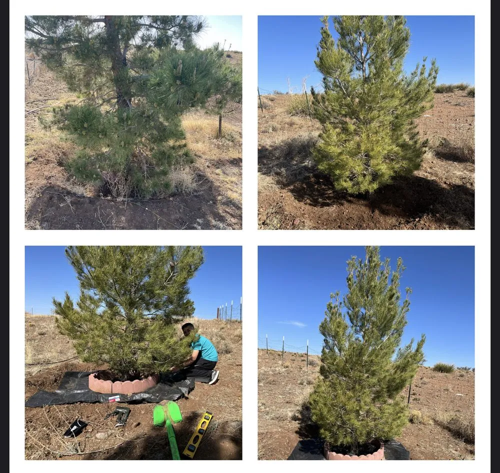 Reliable garden landscaping for beautiful yards across Silver City, NM - Vista landscaping