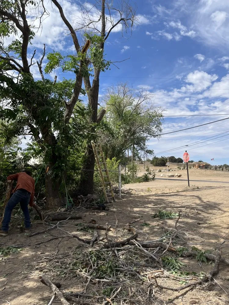 Trusted landscape installation with custom design across Silver City, NM - Vista landscaping