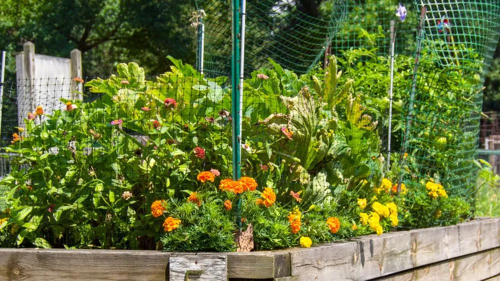 Top-rated yard maintenance with custom design across Tulsa, OK - Vista Landscaping