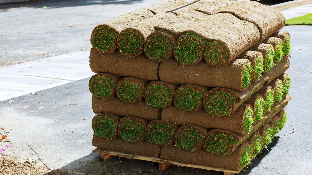 Affordable lawn care service in Tulsa, OK by Vista Landscaping