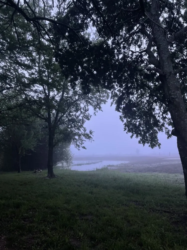 Expert lawn care service for homes in Tulsa, OK by Vista Landscaping