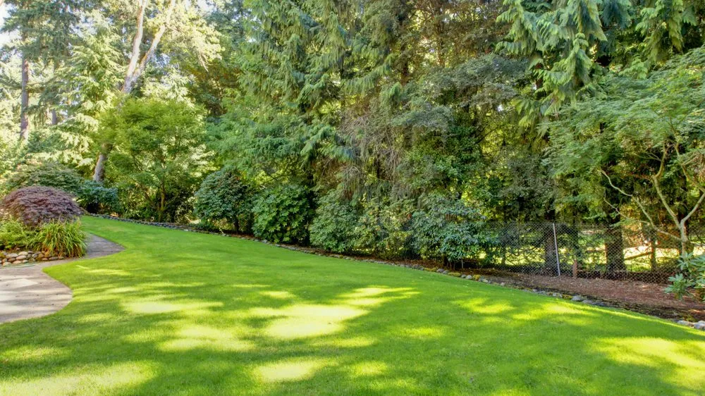 Affordable lawn care service experts serving Tulsa, OK - Vista Landscaping