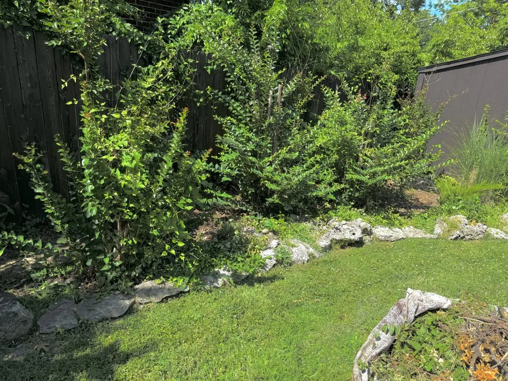 Top-rated yard cleanup service for outdoor upgrades across Tulsa, OK - Vista Landscaping