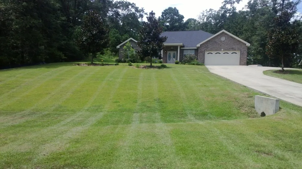 Affordable lawn care service in Tallahassee, FL by Vista Lawn Care