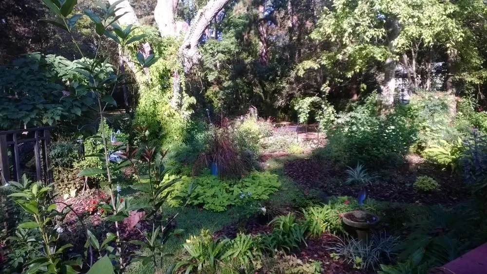 Reliable yard maintenance in Tallahassee, FL - Vista Lawn Care