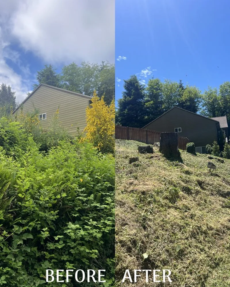 Professional yard maintenance experts serving Salem, OR - Vista Pacific