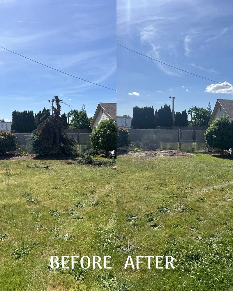 Affordable outdoor landscaping for year-round maintenance in Salem, OR by Vista Pacific