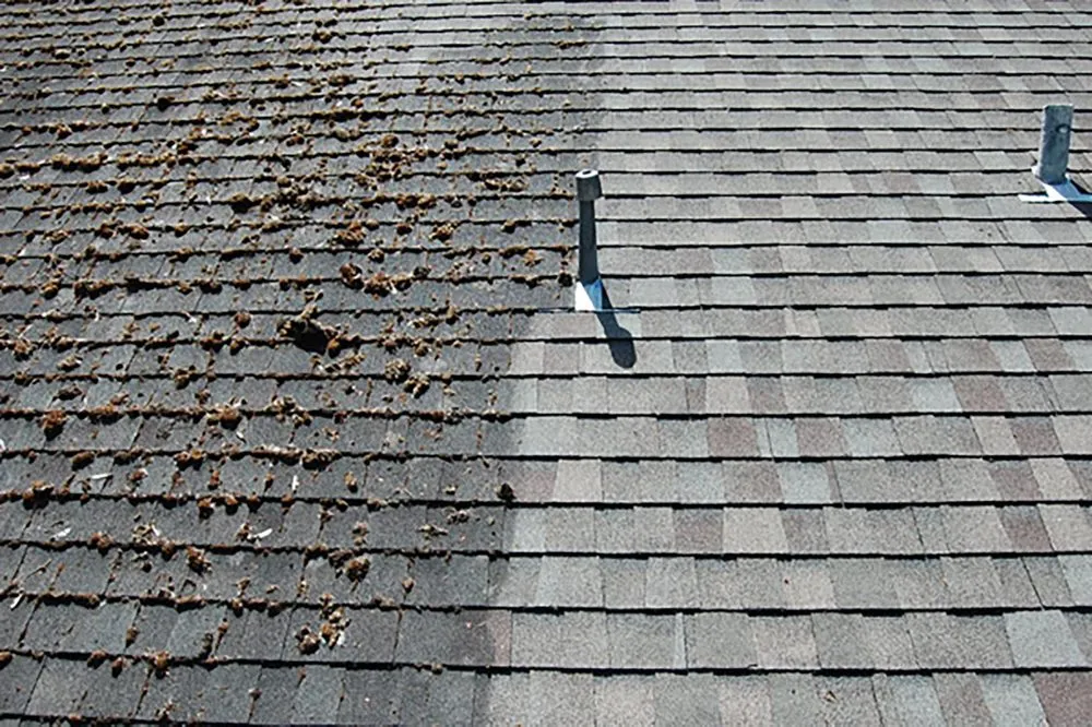 Top-rated yard maintenance for year-round maintenance across Chino, CA - Vista Pro Landscape