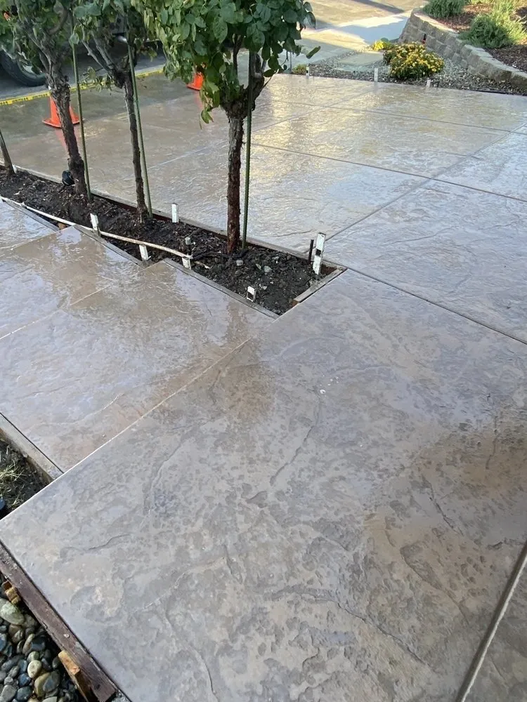 Local yard cleanup service for residential properties in Chino, CA by Vista Pro Landscape