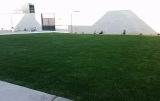 Reliable lawn care service in Las Cruces, NM by Vista Scapes