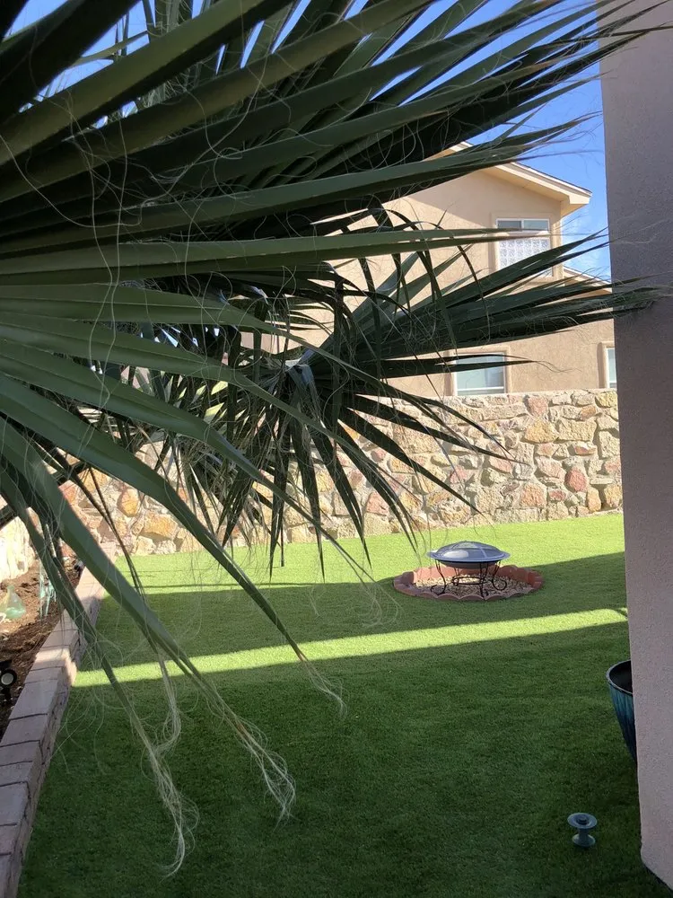 Expert yard maintenance in Las Cruces, NM - Vista Scapes