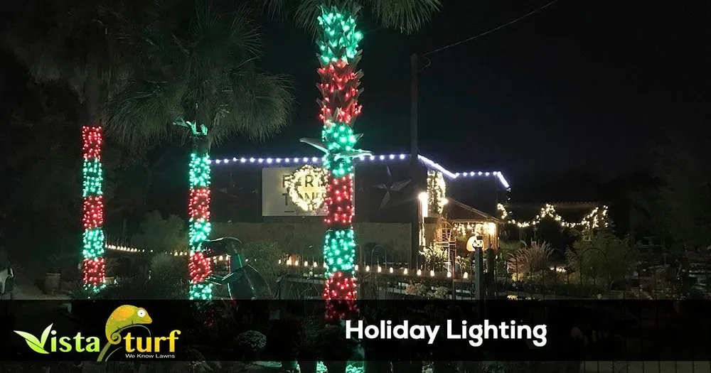 Affordable yard cleanup service with custom design across Midlothian, TX - Vista Turf