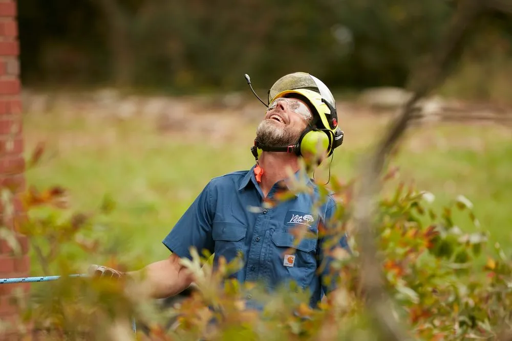 Affordable yard maintenance in Trinity, NC - Vista Urban and Rural Landscapes