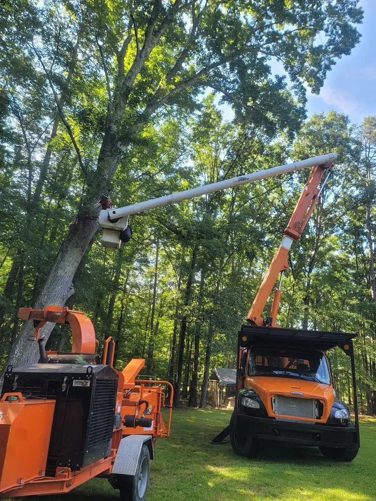 Professional lawn care service for year-round maintenance across Trinity, NC - Vista Urban and Rural Landscapes