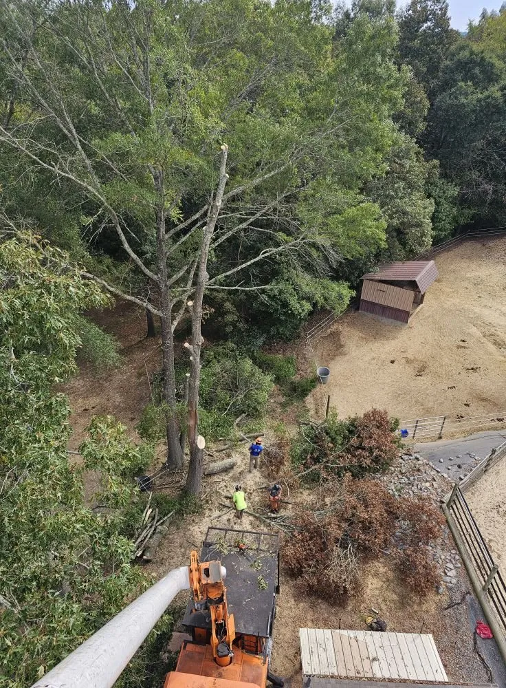 Reliable lawn mowing service experts serving Trinity, NC - Vista Urban and Rural Landscapes