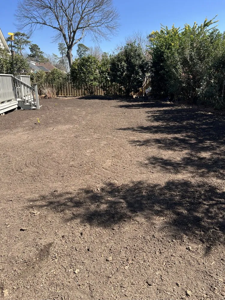 Professional yard cleanup service experts serving Augusta, GA - Vista Verde