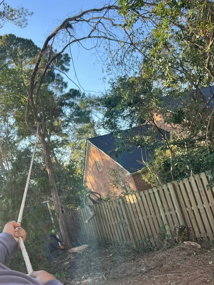 Local garden landscaping for residential properties across Augusta, GA - Vista Verde