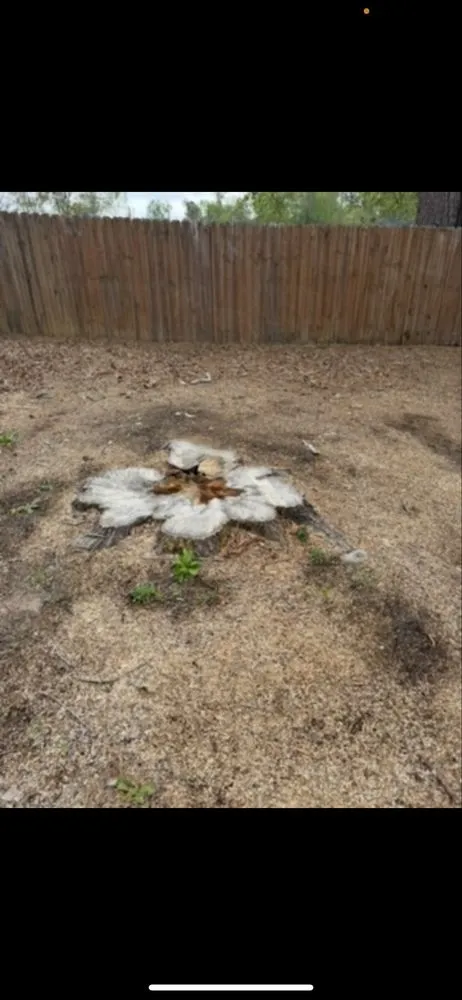 Affordable garden landscaping with custom design across Augusta, GA - Vista Verde