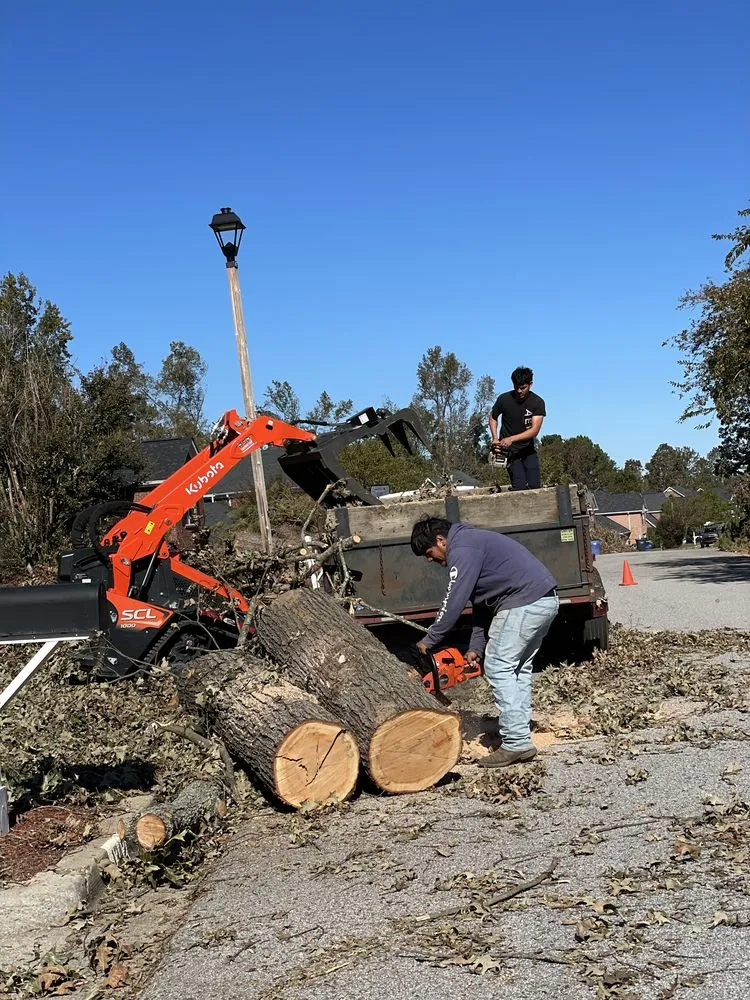 Trusted residential landscaping for residential properties in Augusta, GA by Vista Verde