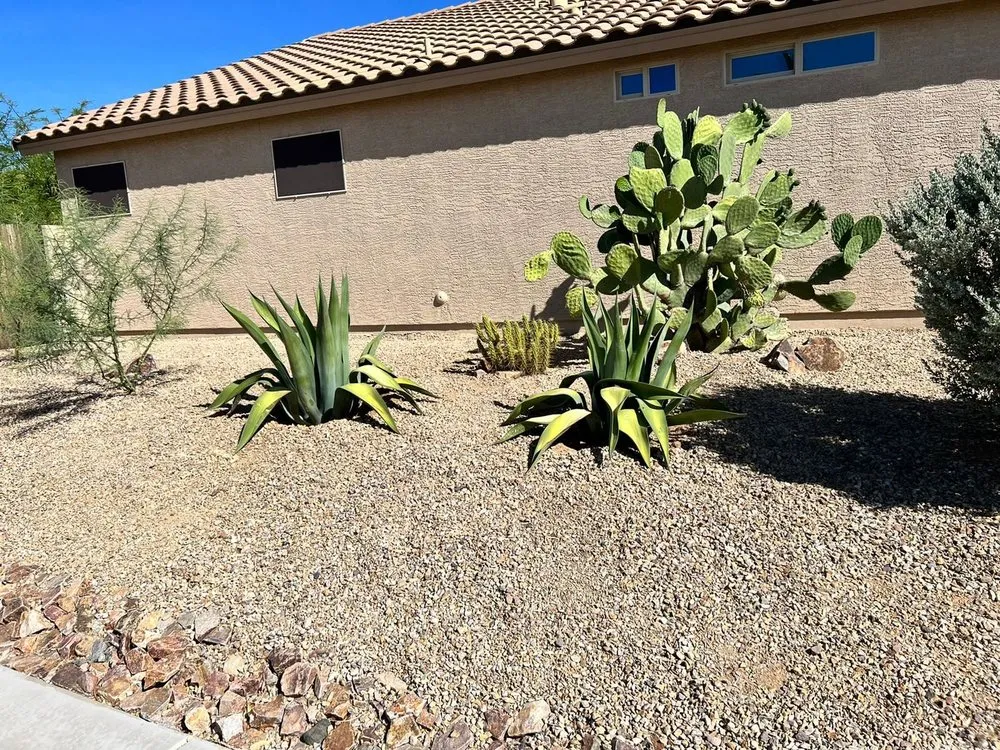 Reliable garden landscaping experts serving Green Valley, AZ - Vista Verde Landscaping