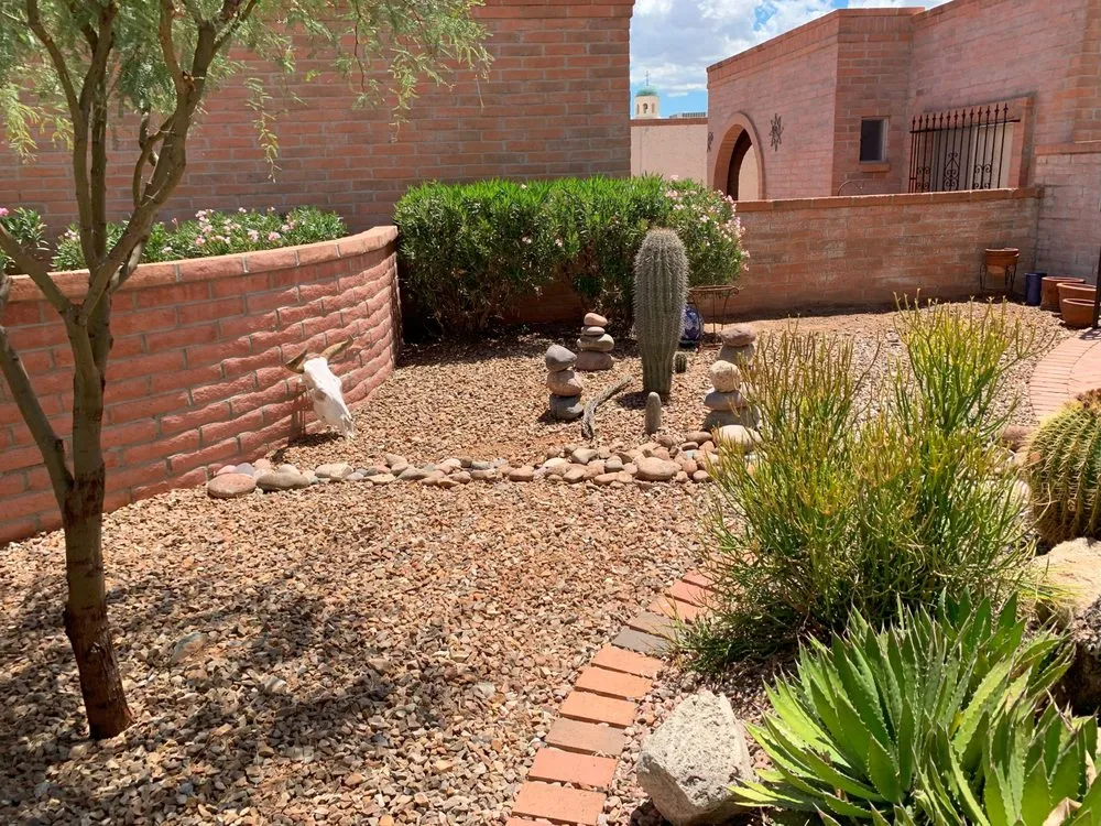 Top-rated yard cleanup service for residential properties in Green Valley, AZ by Vista Verde Landscaping