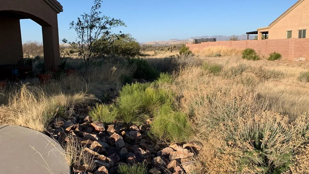 Trusted residential landscaping in Green Valley, AZ - Vista Verde Landscaping