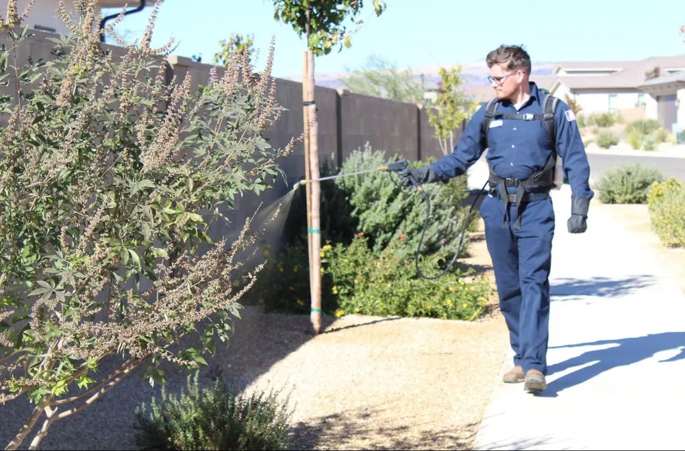 Affordable lawn care service in St. George, UT - Vista Weed Control