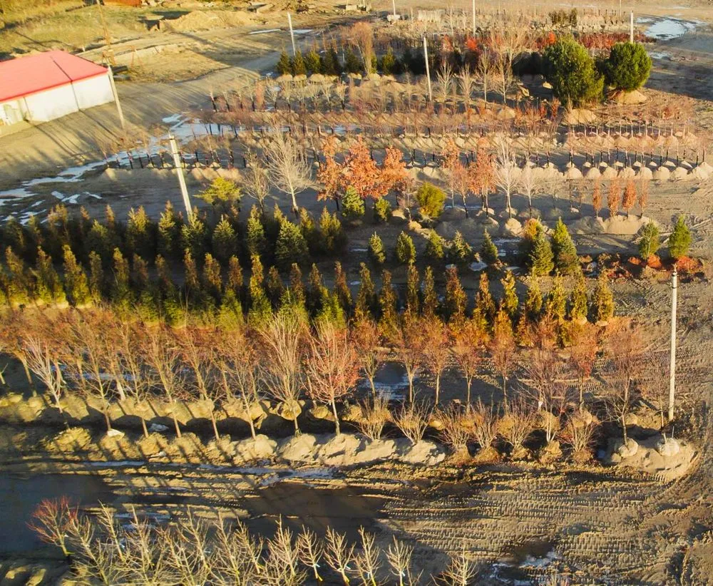 Trusted lawn mowing service experts serving Rosemont, IL - Visterra Landscape Group