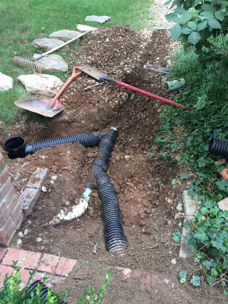 Reliable yard cleanup service in Seatonville, KY - Visual Artist Lawn and Landscape Design