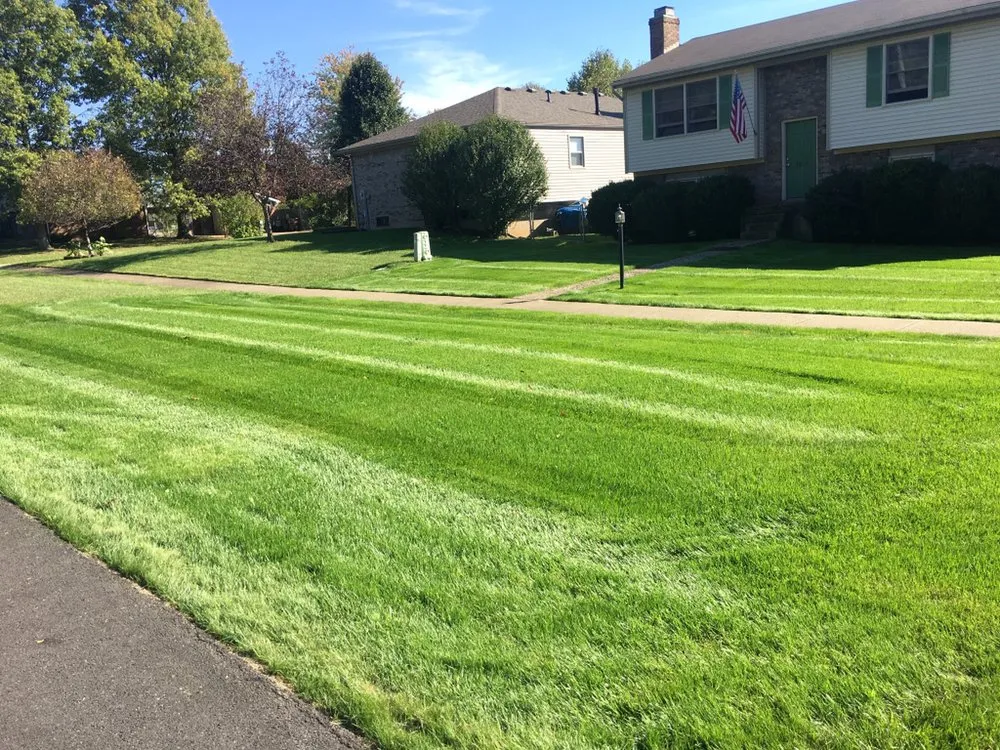 Local residential landscaping experts serving Seatonville, KY - Visual Artist Lawn and Landscape Design