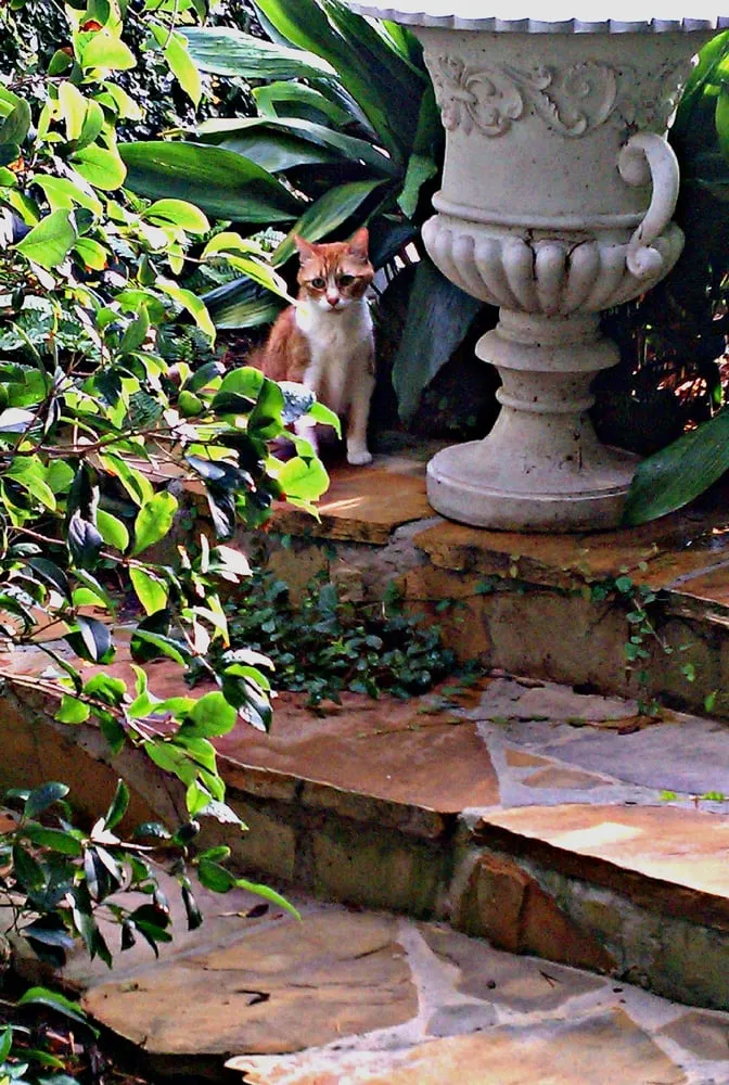 Trusted landscaping services experts serving Covington, LA - Visual Changes