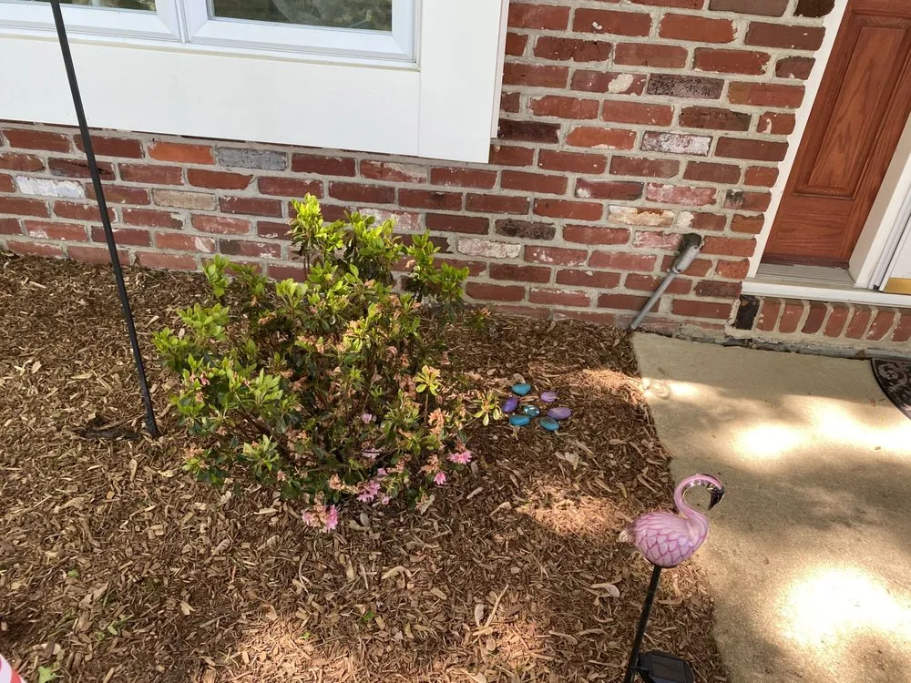 Professional outdoor landscaping for beautiful yards across Windsor, CA - Visual Dream Landscapes