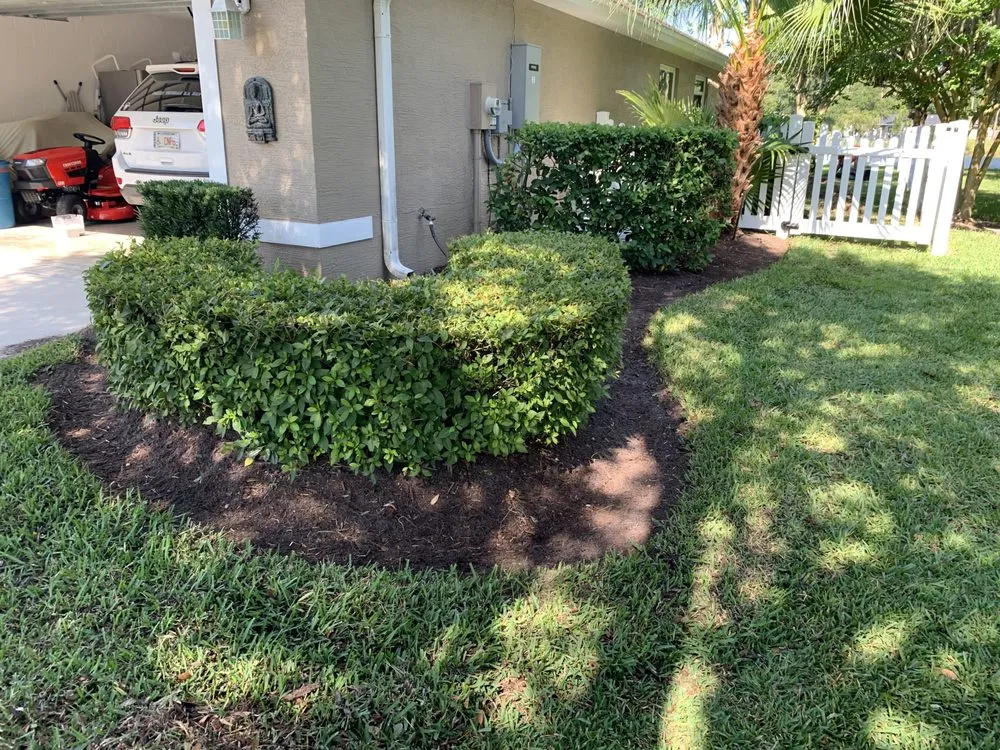Professional outdoor landscaping in Port Orange, FL by Visual Impact Curbing