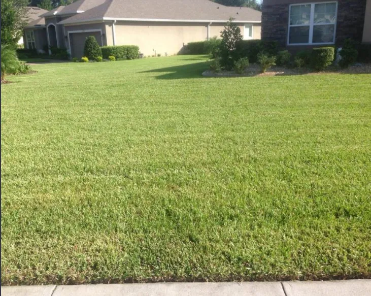 Reliable residential landscaping for beautiful yards across Port Orange, FL - Visual Impact Curbing