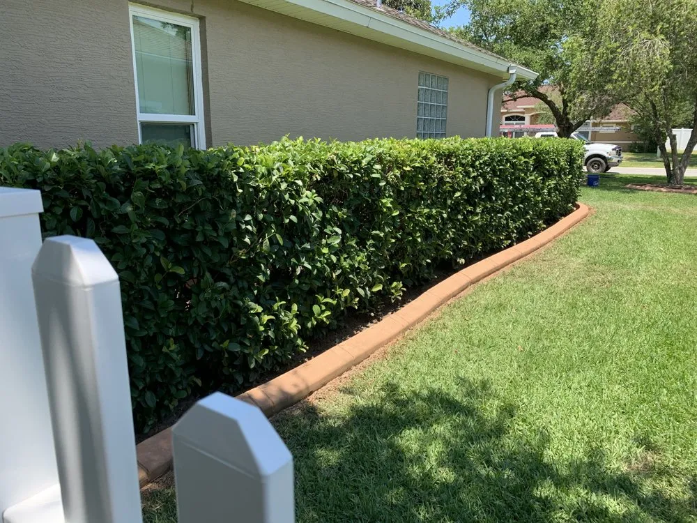 Reliable landscaping services in Port Orange, FL by Visual Impact Curbing