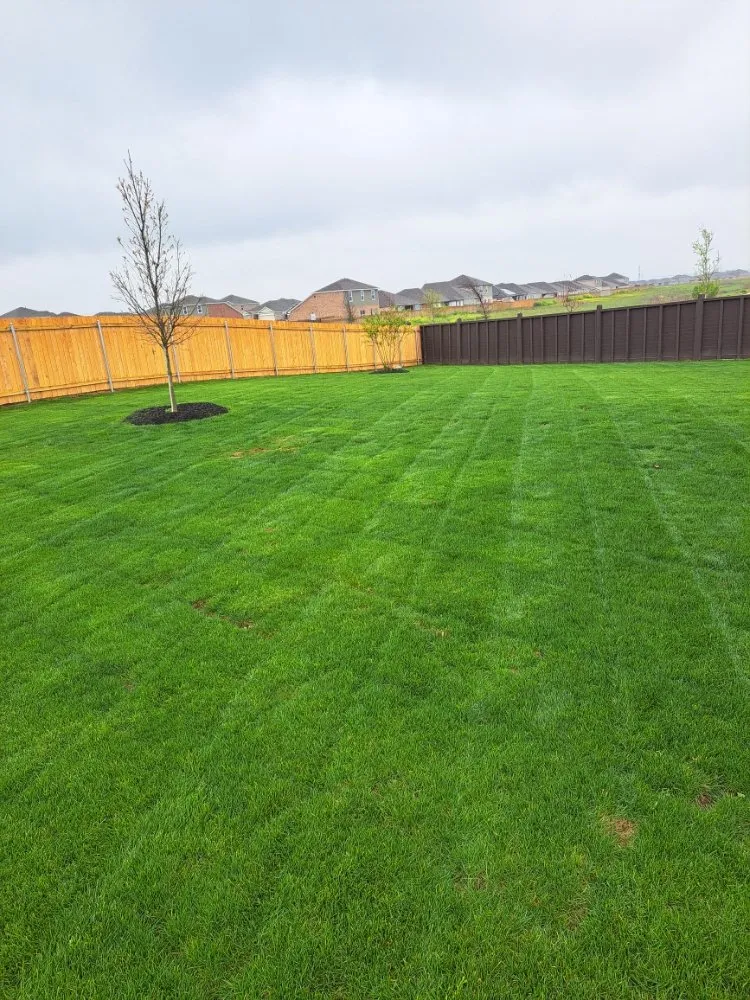 Expert landscape installation experts serving Whitewright, TX - Visual Mowing and Landscapes