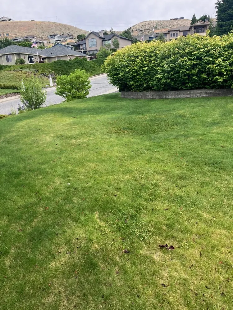 Top-rated garden landscaping in Wenatchee, WA - Vita Green Services