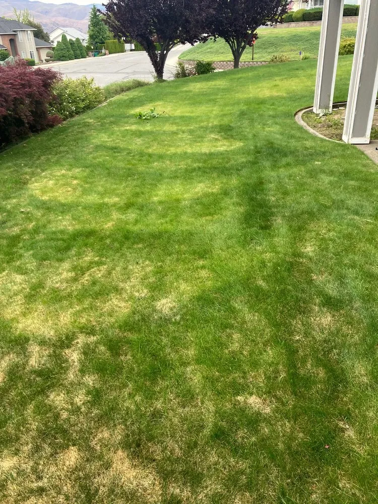 Affordable residential landscaping in Wenatchee, WA by Vita Green Services