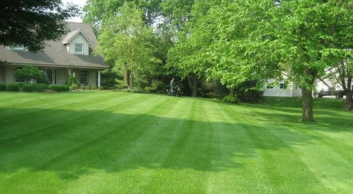 Expert landscaping services in Oconomowoc, WI by Vital and Green of Wisconsin