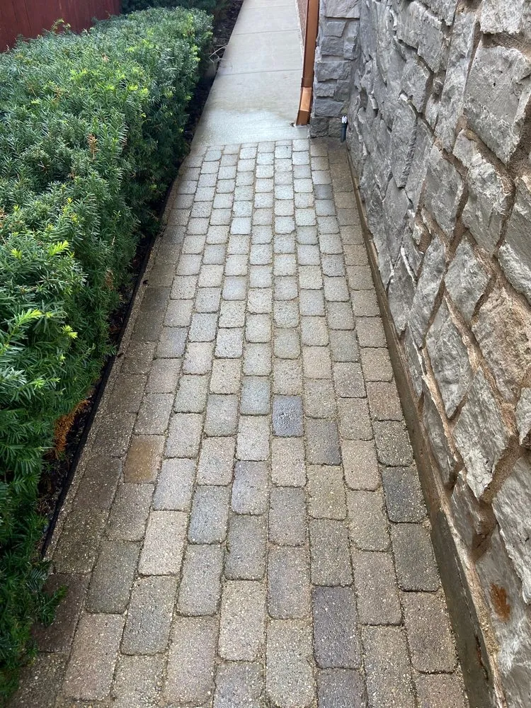 Top-rated lawn care service for homes in Chicago, IL by Vital Care Landscaping