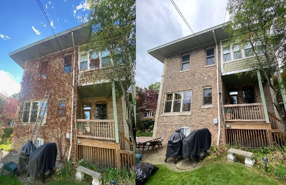 Reliable landscaping services experts serving Chicago, IL - Vital Care Landscaping