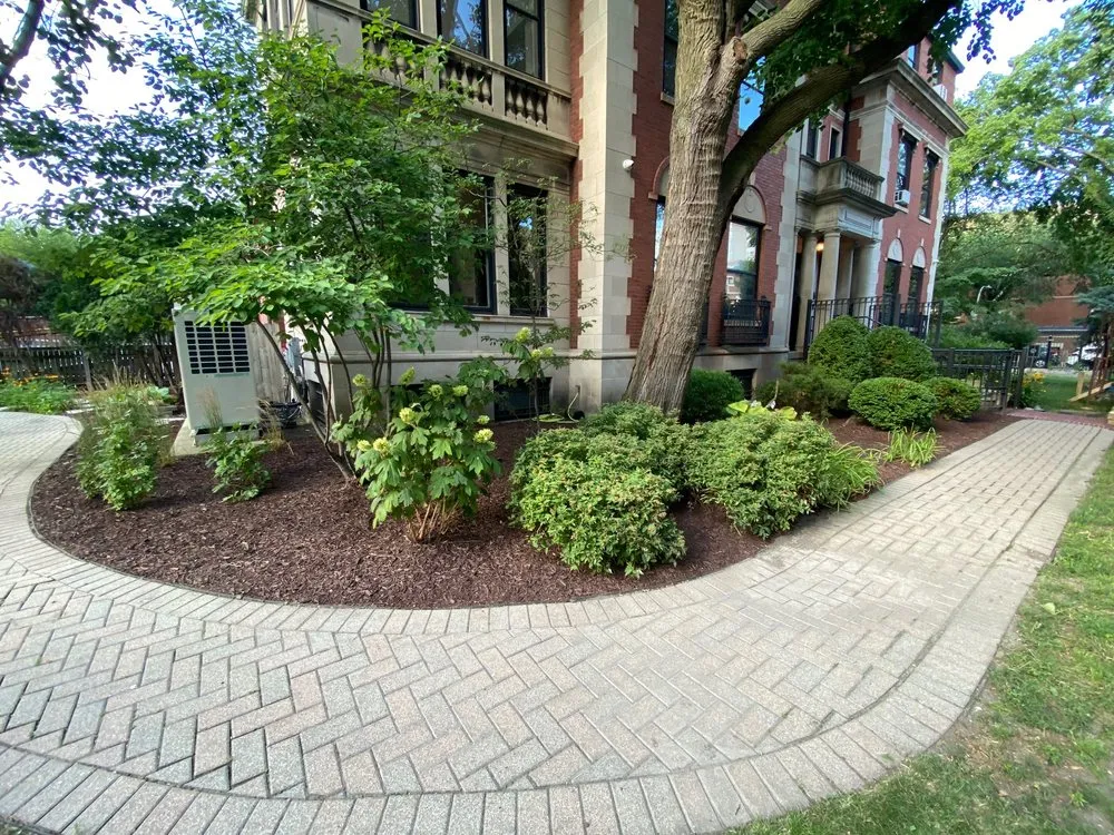 Top-rated residential landscaping in Chicago, IL by Vital Care Landscaping