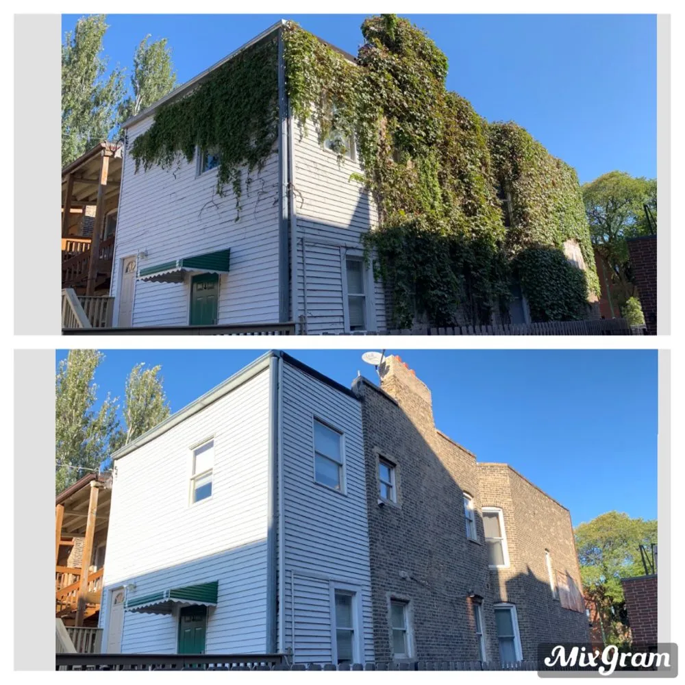 Local lawn mowing service in Chicago, IL - Vital Care Landscaping