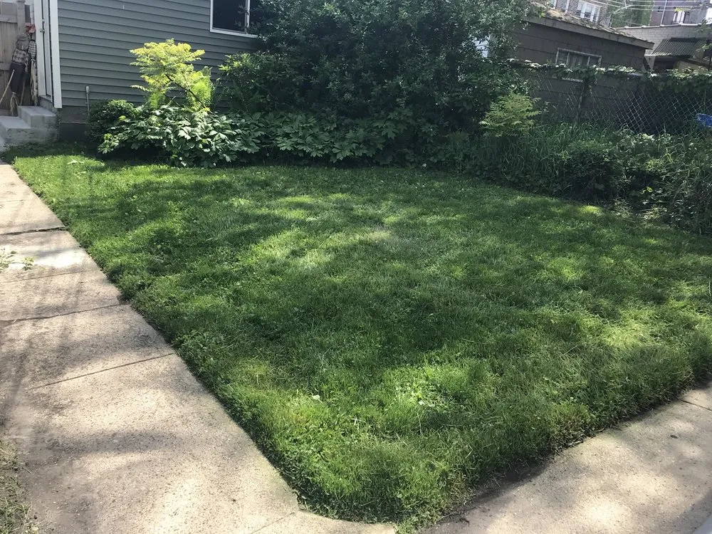 Reliable landscape design in Chicago, IL - Vital Care Landscaping